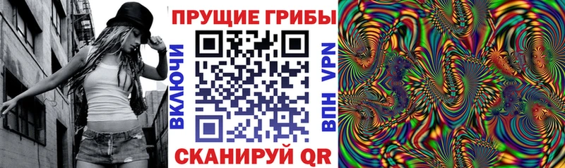 Псилоцибиновые грибы Psilocybine cubensis купить цена Харабали